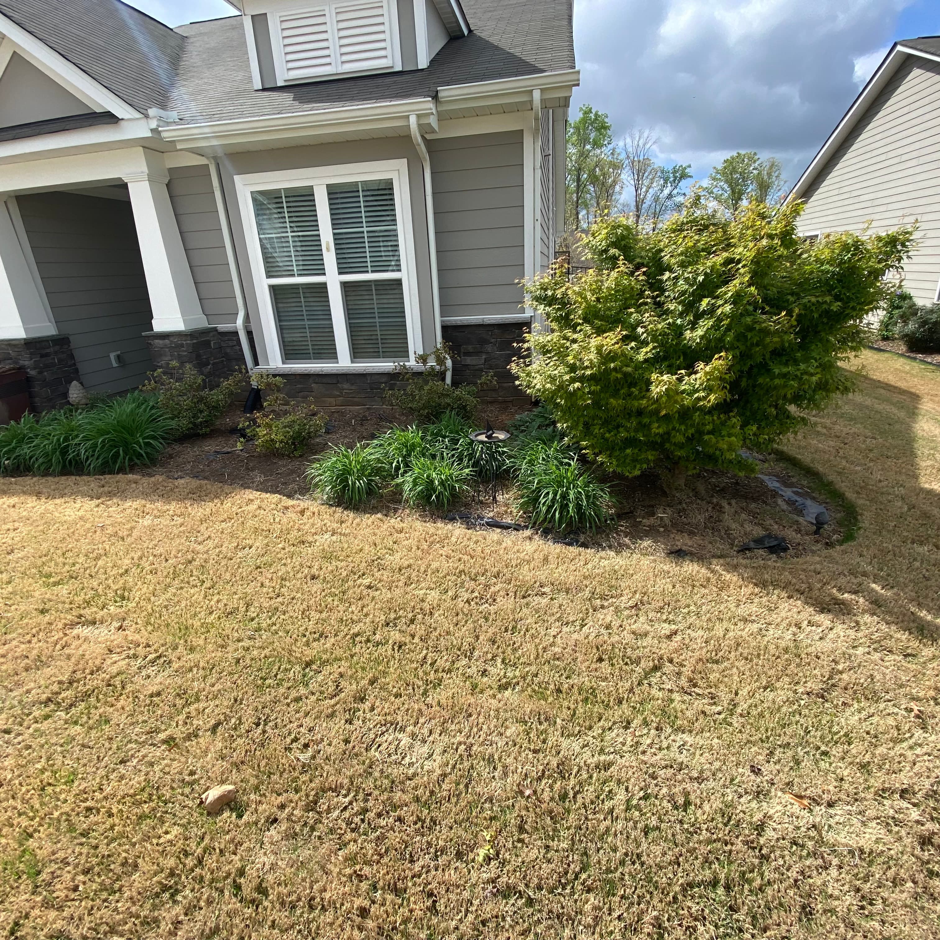 Before — tired bed, dormant lawn