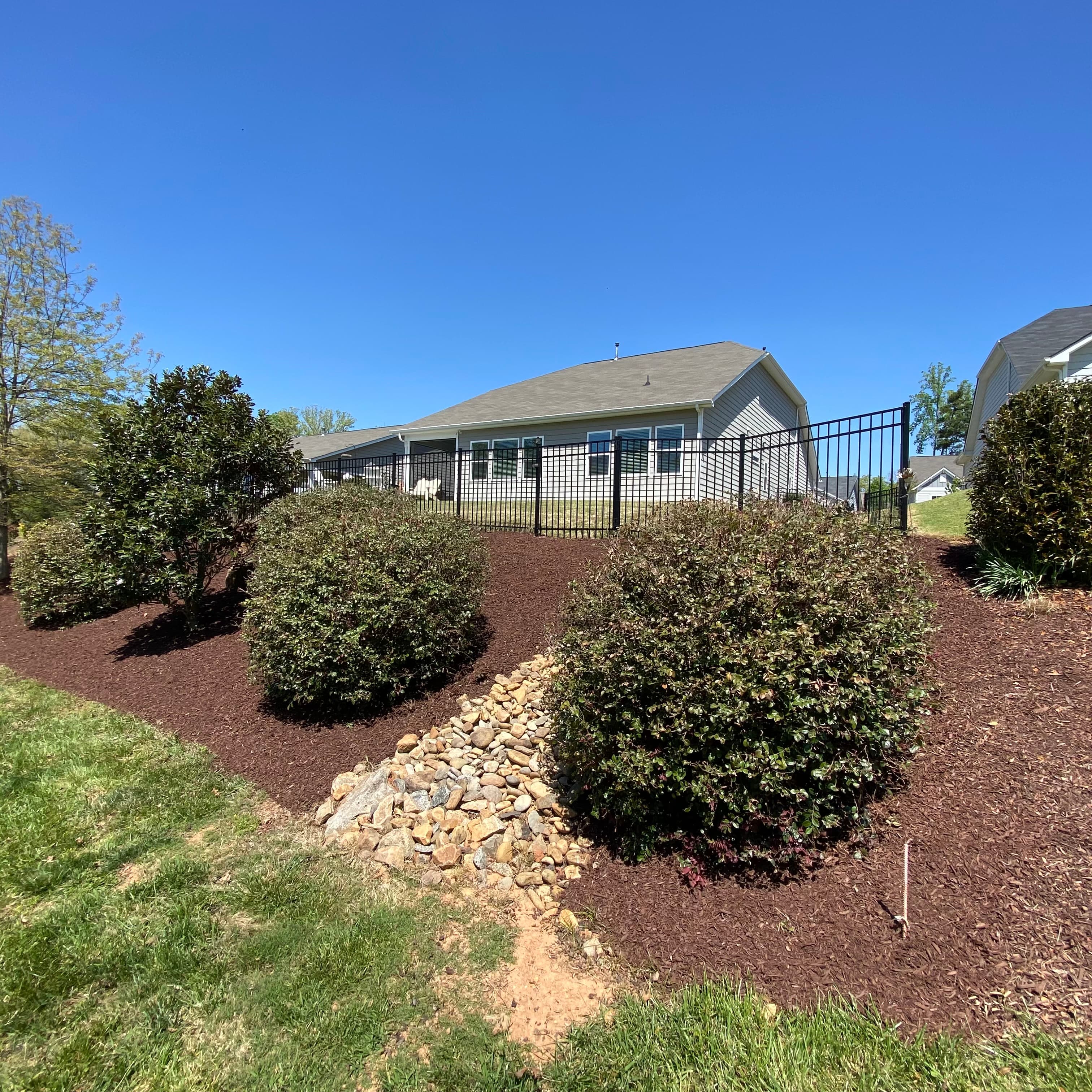 Sloped Fence-Line Bed Maintenance — After — mulched slope bed, trimmed shrubs